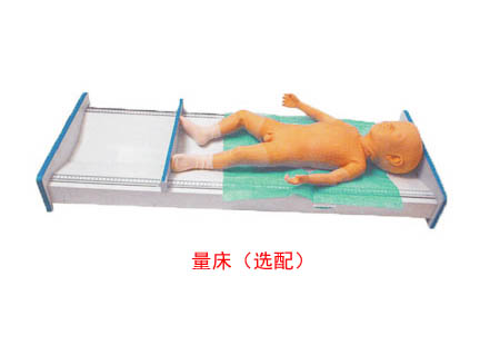 新生兒生長指標(biāo)評定及護理訓(xùn)練模型